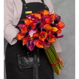 Букет-трио калл "Восторг" (21,35,51 или 75)