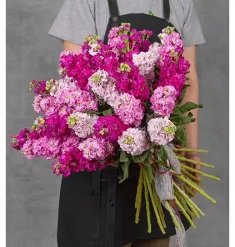 Букет-трио "Розовый джем" (15,25,35,51 или 75)