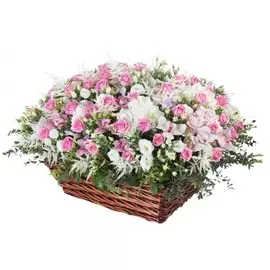 Композиция "Астрея"