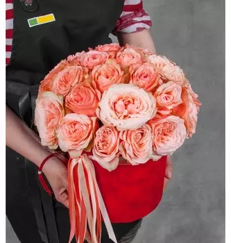 Композиция "Астрология"