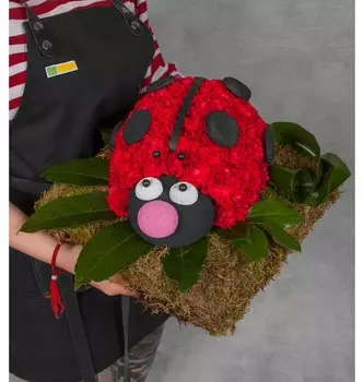 Композиция "Божья коровка"