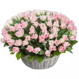 Композиция "Чудесный рассвет" (101, 201 или 301)