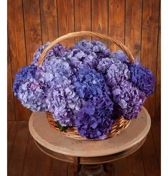 Композиция "Глубина цвета"