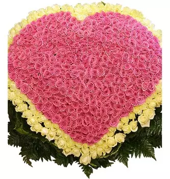 Композиция "Импульс любви" (501 роза)