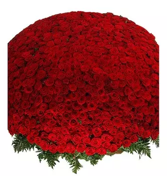 Композиция из 1001 розы "Сенсация"