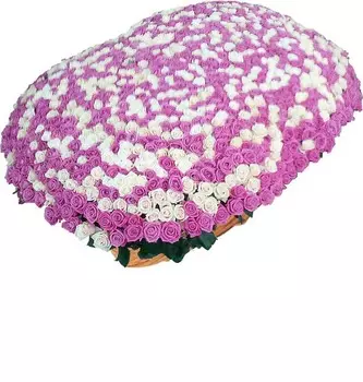 Композиция из 1001 розы "Ты - моя жизнь!"