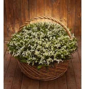 Композиция из 501 ландыша "Весна любви"