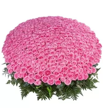 Композиция из 501 розовой розы "Самой любимой"