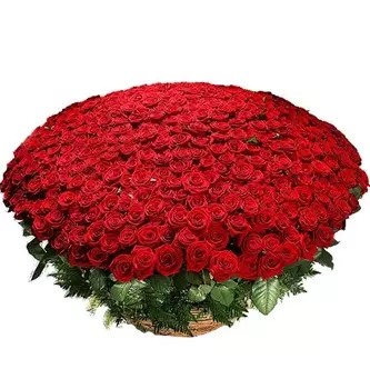 Композиция из 501 розы Гран При "Любовь всегда права!"