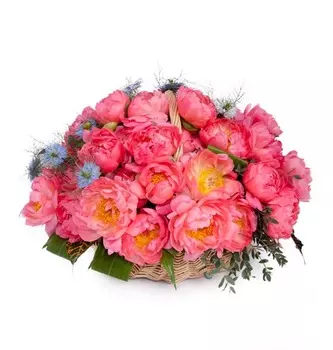 Композиция из пионов "Незабываемая" (31, 101, 201)