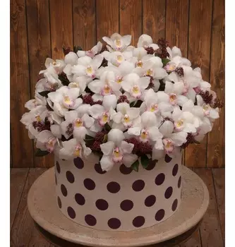 Композиция "Экзотические орхидеи"