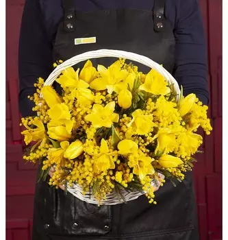 Композиция "Каватина"