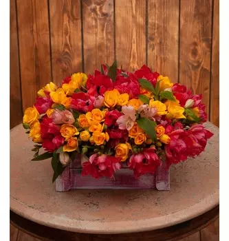 Композиция "Кончертато"