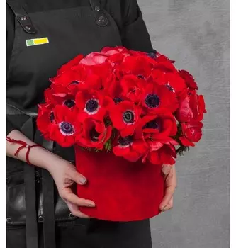 Композиция "Красный бархат"