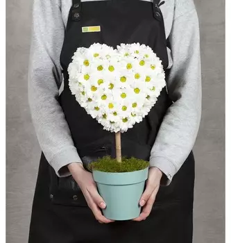 Композиция "Крепкая любовь"