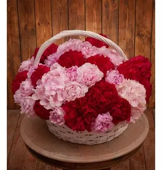 Композиция "Летний джаз"