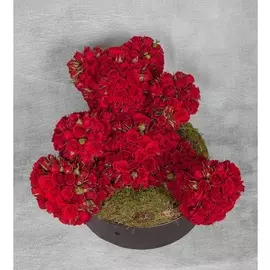 Композиция "Любимый мишка"