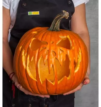 Композиция "Мистер Крик"