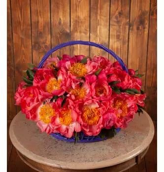 Композиция "Музыка сада"