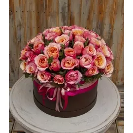 Композиция "Музыкальное сопровождение"