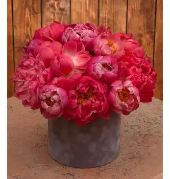 Композиция "Музыкальный стиль"