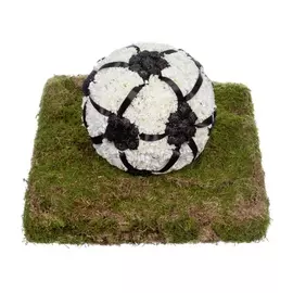 Композиция "Настоящему болельщику"