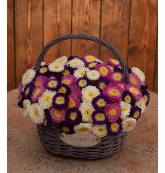 Композиция "Нежные астры"