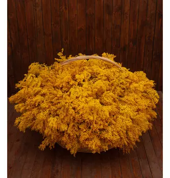 Композиция "Охапка мимозы"