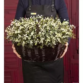 Композиция "Остинато" (201 или 301)