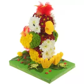 Композиция "Попугай Гоша"