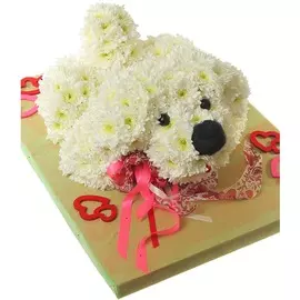 Композиция "Пушок"