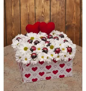 Композиция "Ромашки и божьи коровки"