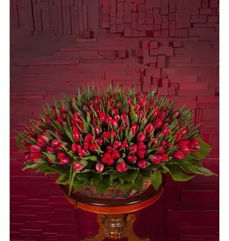 Композиция "Румба" (301 или 501)