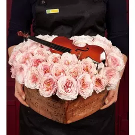 Композиция "Скрипка"