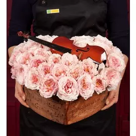 Композиция "Скрипка"