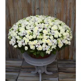 Композиция "Снежная королева"