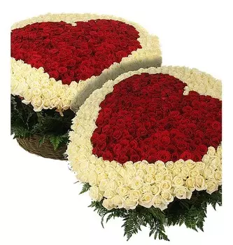 Композиция "Созданы быть вместе" (1001 роза)