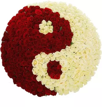 Композиция "Ты и Я" (333 розы)