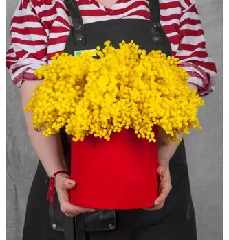 Композиция "Вестник весны"