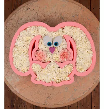 Композиция "Зайка"