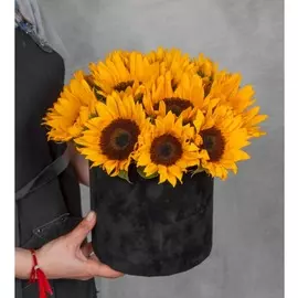 Композиция "Жаркий полдень"