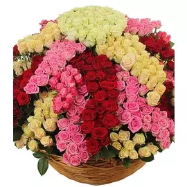 Композиция "Звездный цветок счастья " (801 роза)