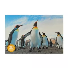 Открытка 3D "Пингвин"