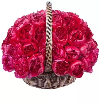 Подарочная корзина "Бордо" (51, 101 или 201)