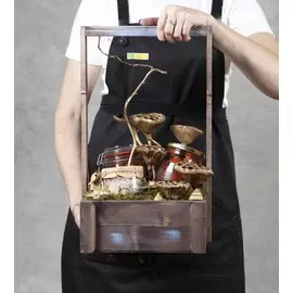 Подарочное кашпо "Подводный мир"