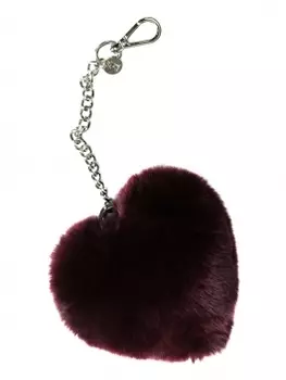 Брелок Z17FW-02PH