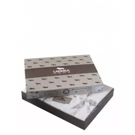 Комплект постельного белья Labbra Home J21x-20111x