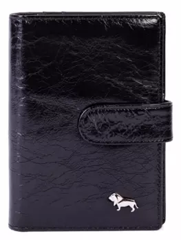 Обложка для документов L089-1613-2