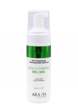 Aravia Professional Cool Cleansing Mousse - Мусс очищающий с охлаждающим эффектом с алоэ вера и аллантоином 160 мл