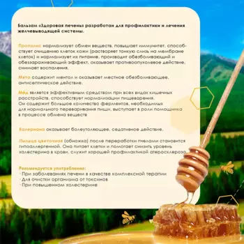 Бальзам "Здоровая печень", 100 мл